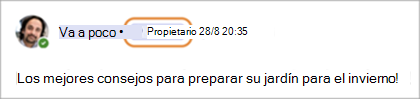Captura de pantalla que muestra los distintivos del propietario de la comunidad en Teams (gratis).