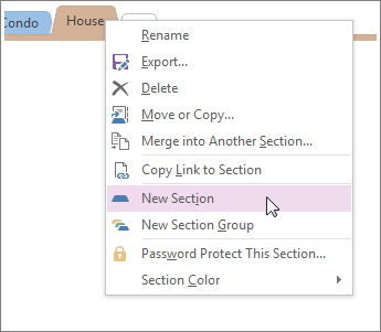 Agregue una sección nueva en OneNote.