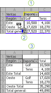 Ejemplo de cambio del diseño de un informe de tabla dinámica