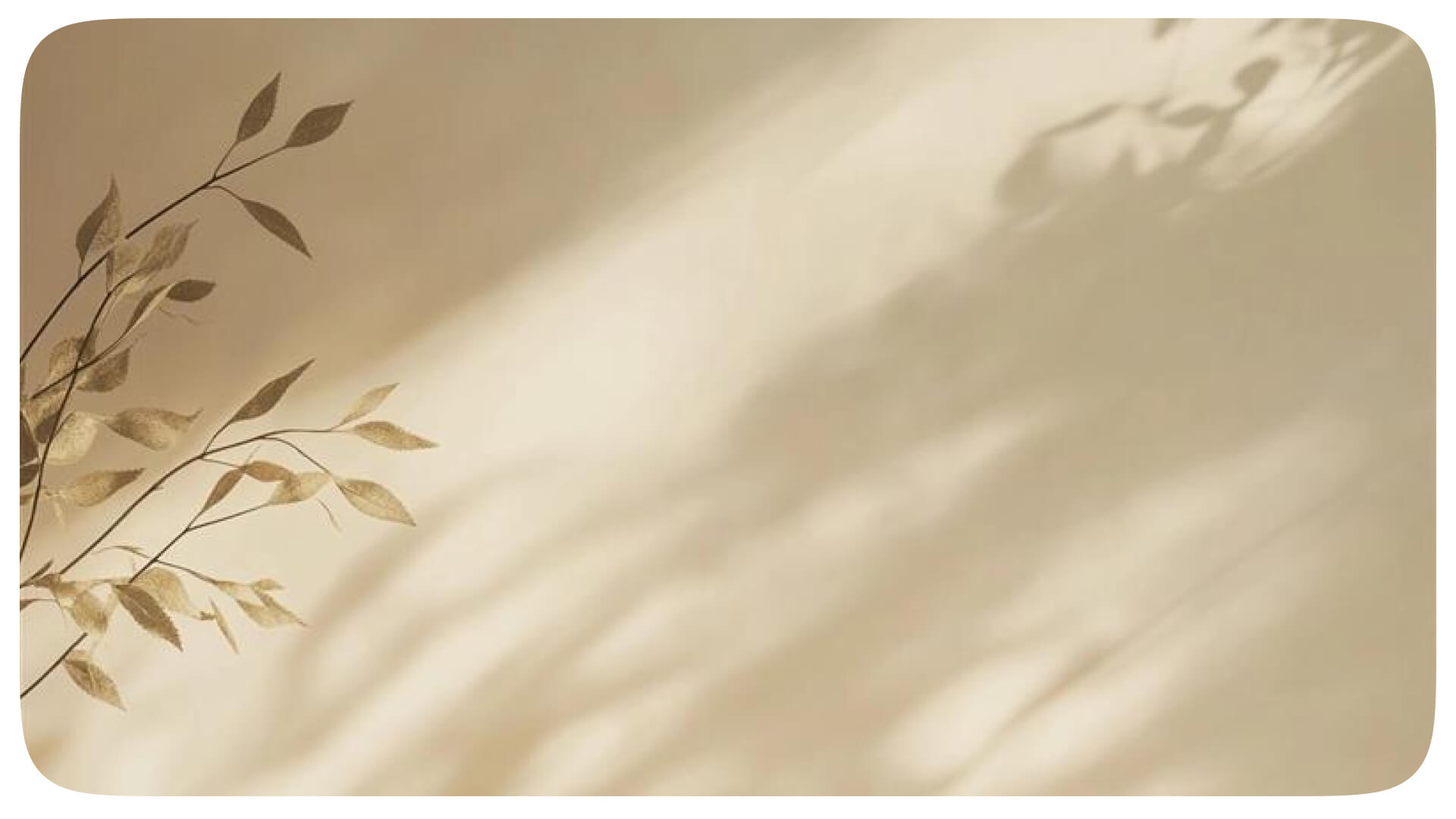 Textura