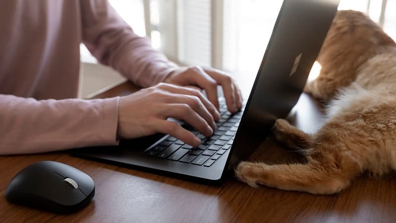 Mouse ergonómico con Bluetooth de Microsoft